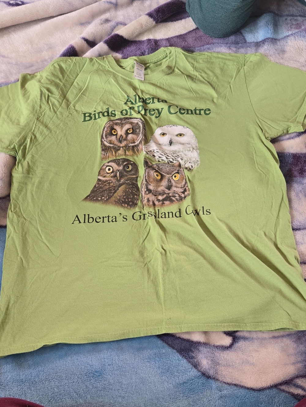 Gildan Light Green Owl Graphic Tee